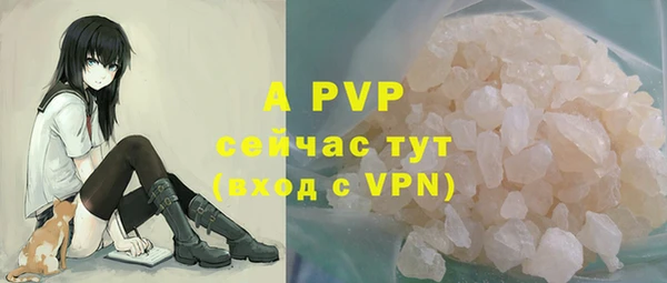 гидра Арсеньев
