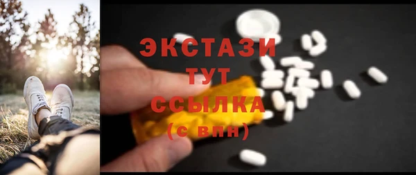гидра Арсеньев