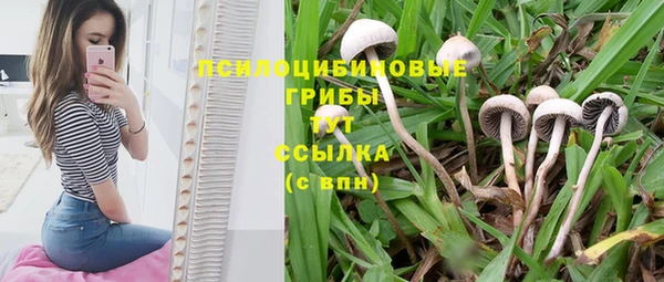 гидра Арсеньев