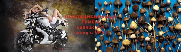 тгк Армянск