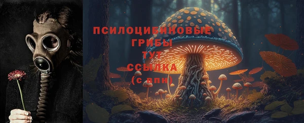 гидра Арсеньев
